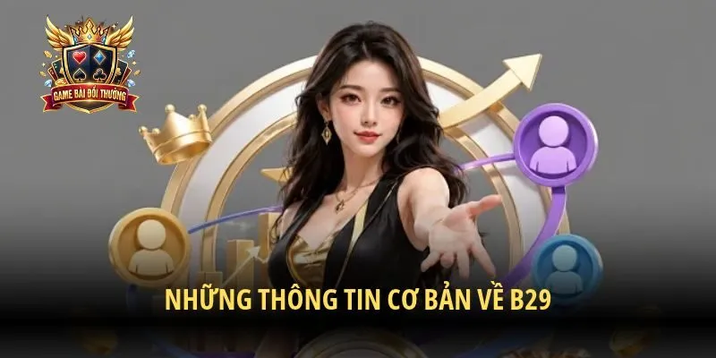 Những thông tin cơ bản về B29